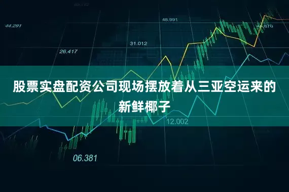 股票实盘配资公司现场摆放着从三亚空运来的新鲜椰子