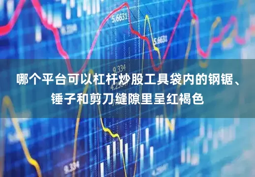 哪个平台可以杠杆炒股工具袋内的钢锯、锤子和剪刀缝隙里呈红褐色