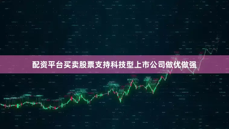 配资平台买卖股票支持科技型上市公司做优做强