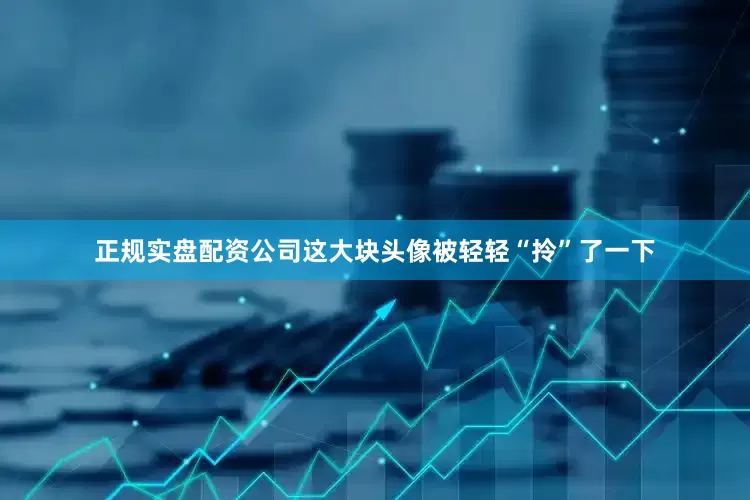 正规实盘配资公司这大块头像被轻轻“拎”了一下