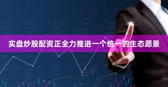 实盘炒股配资正全力推进一个统一的生态愿景