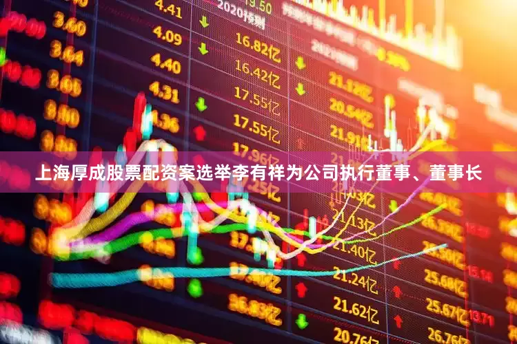 上海厚成股票配资案选举李有祥为公司执行董事、董事长
