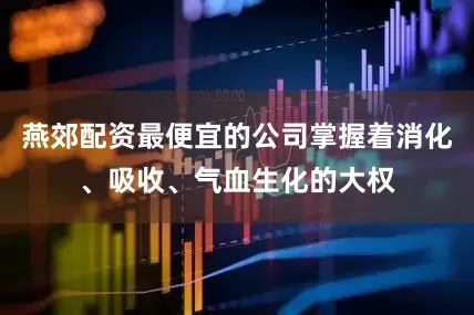 燕郊配资最便宜的公司掌握着消化、吸收、气血生化的大权