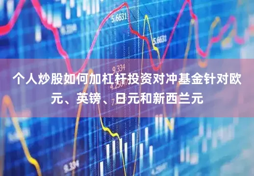 个人炒股如何加杠杆投资对冲基金针对欧元、英镑、日元和新西兰元