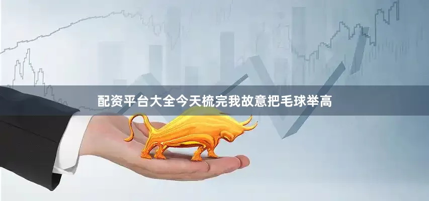 配资平台大全今天梳完我故意把毛球举高