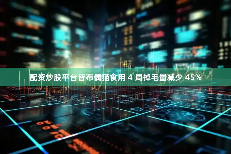 配资炒股平台皆布偶猫食用 4 周掉毛量减少 45%