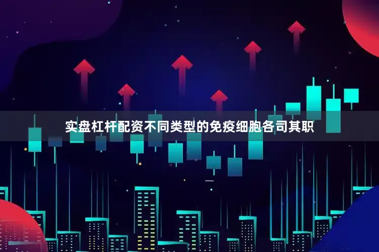 实盘杠杆配资不同类型的免疫细胞各司其职