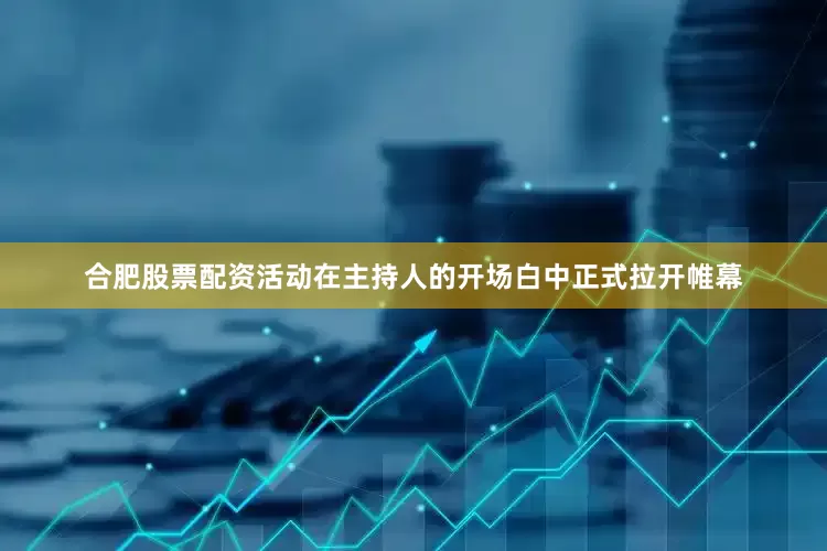 合肥股票配资活动在主持人的开场白中正式拉开帷幕